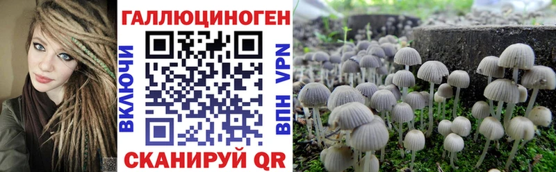 Псилоцибиновые грибы Cubensis  Зима 