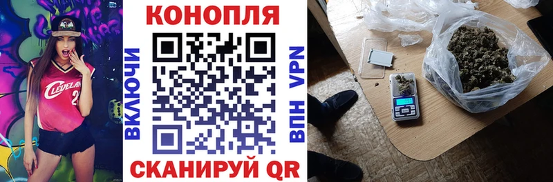 Бошки Шишки индика  Зима 